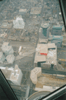 CN-Tower: Sicht